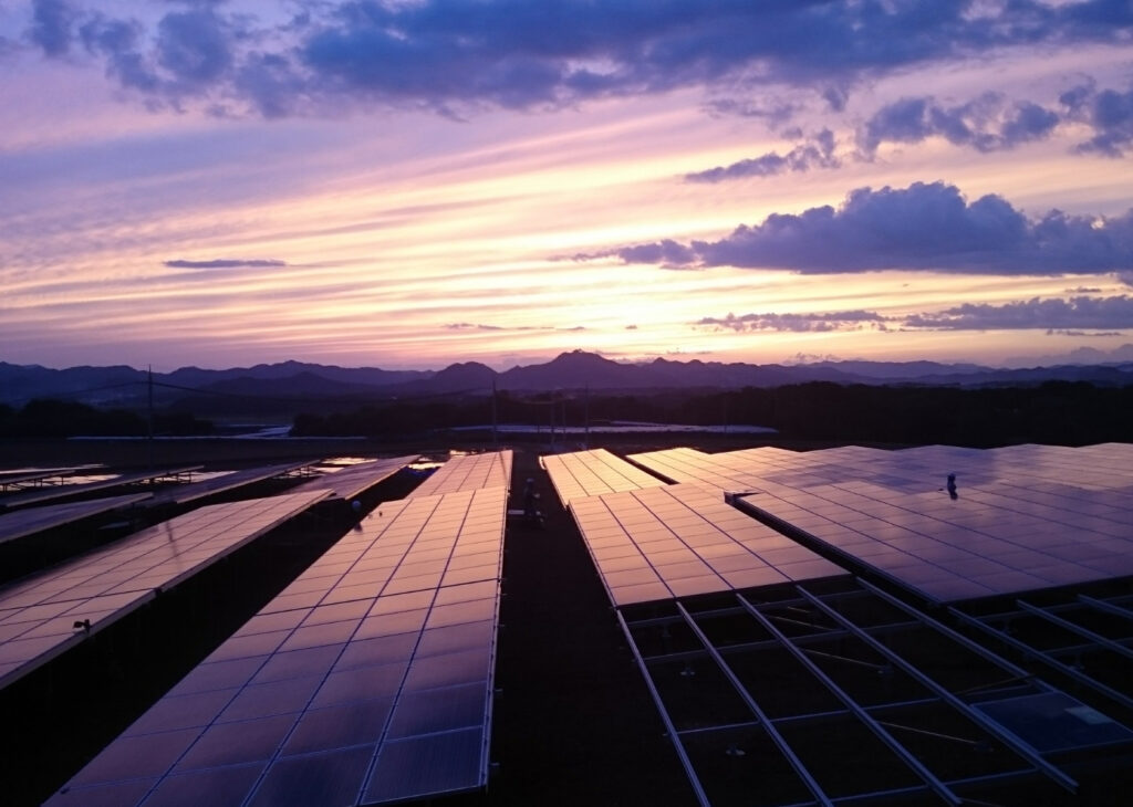 Solar PV module manufacturing panels at sunset in Europe